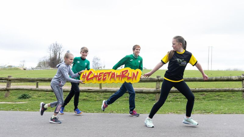 Popular 'Cheetah Run' at Fota Wildlife Park back after two year hiatus
