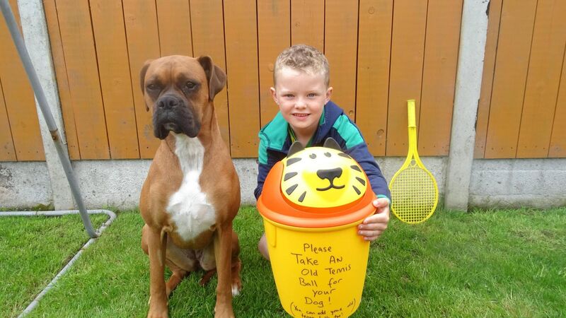 Cork tennis club to recycle used tennis balls for arts and crafts students