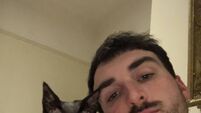 Currabinny food duo's sphynx cat has 9,000 Insta fans
