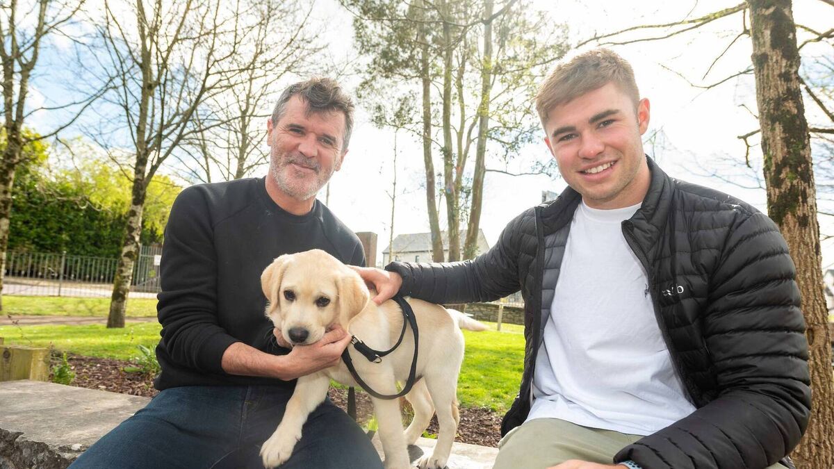 Munster's Jack joins Roy as ambassador for Irish Guide Dogs