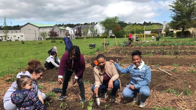 Cork awards to shine light on social inclusion