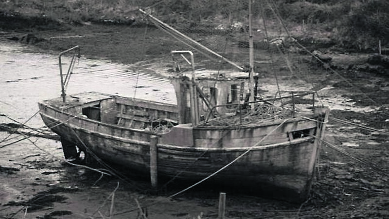 Cork artists showcase their work inspired by Sherkin island