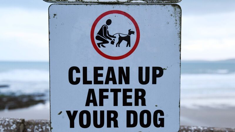 County Mayor suggests zero-tolerance approach to dog fouling in County Cork County Mayor suggests zero-tolerance approach to dog fouling in County Cork