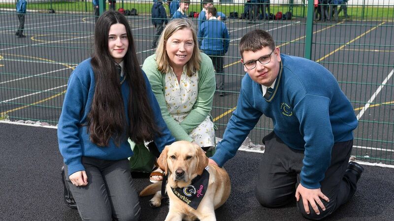 Cork school gets new canine companion in bid to reduce anxiety and stress amongst students post-Covid