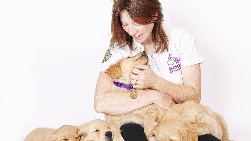 Foster families plea by Cork charity - Dogs for Disabled