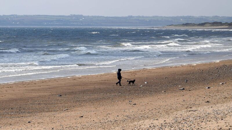 What to know and what to do at the beach in Cork this summer What to know and what to do at the beach in Cork this summer