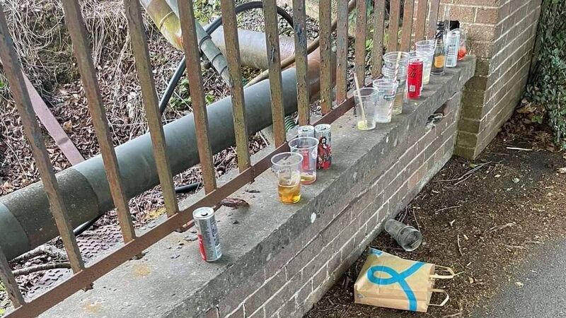 Local concerns raised over litter left on roads leading to Cork concert venue