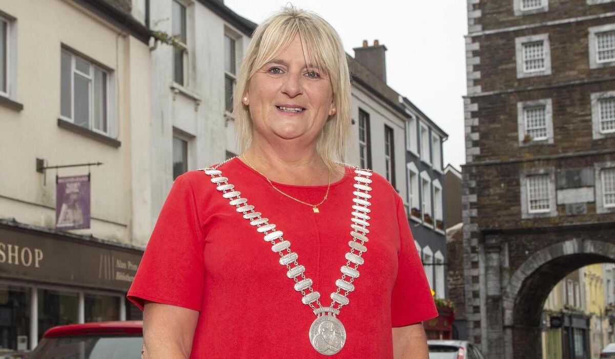 Cllr. Mary Linehan Foley. Cork. Picture Dan Linehan