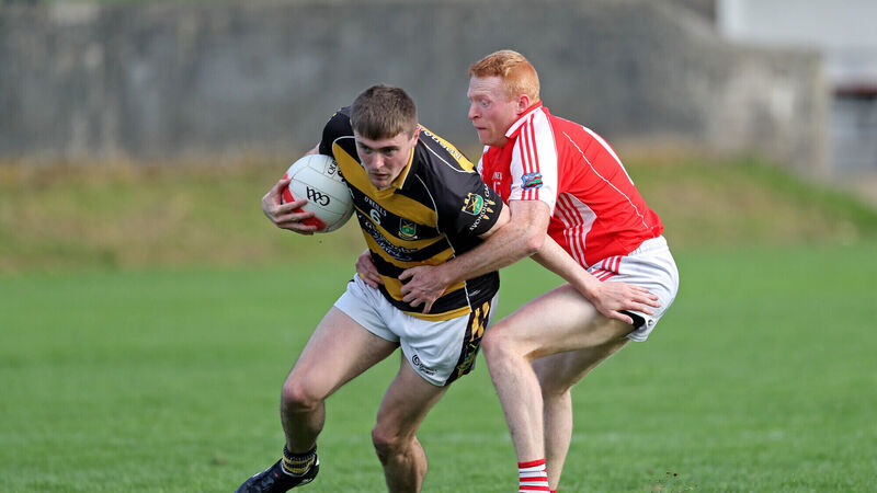 Goals key for Avondhu footballers in win over Beara Goals key for Avondhu footballers in win over Beara