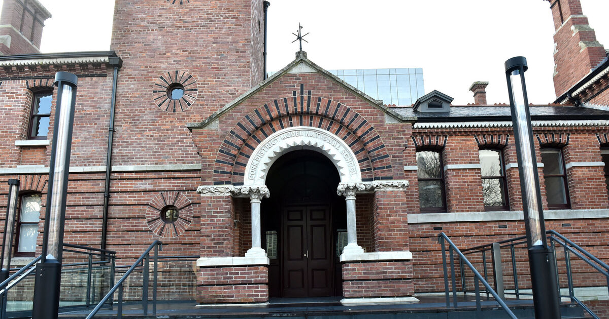 Burglar poured cement in bathtub of Cork city house - Vimarsana News
