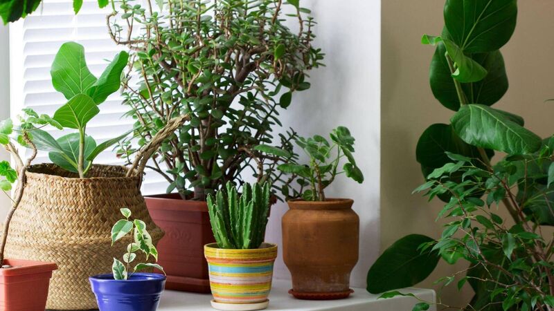 When your house needs a refresh... here's some ideas