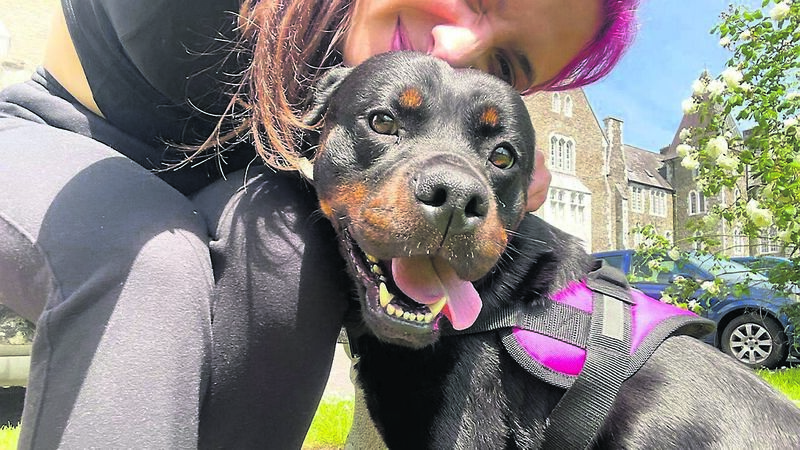 Cork dog charity struggling to rehome surrendered pets Cork dog charity struggling to rehome surrendered pets