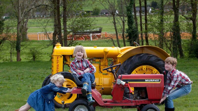 Cork Summer Show to return after two-year hiatus