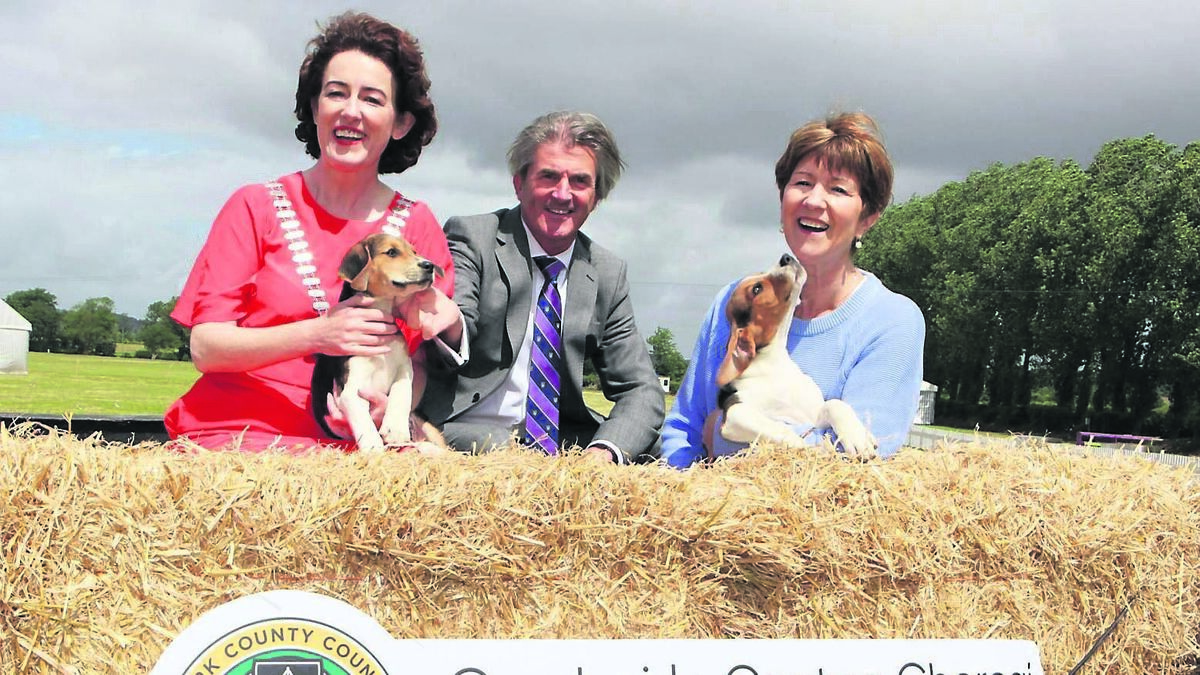 Summer Show returns to Cork Showgrounds