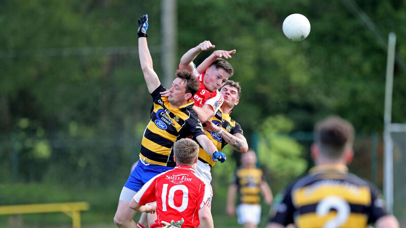 Paudie Palmer: New divisional format offers meaningful games to Cork club players Paudie Palmer: New divisional format offers meaningful games to Cork club players