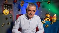 Rowan Atkinson hopes to inspire new bee lovers with his CBeebies Bedtime Story