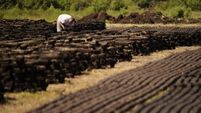 Targets to be set for cutting emissions in key sectors of Ireland’s economy
