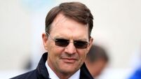 Horse trainer Aidan O'Brien suing Glanbia over alleged contaminated feed