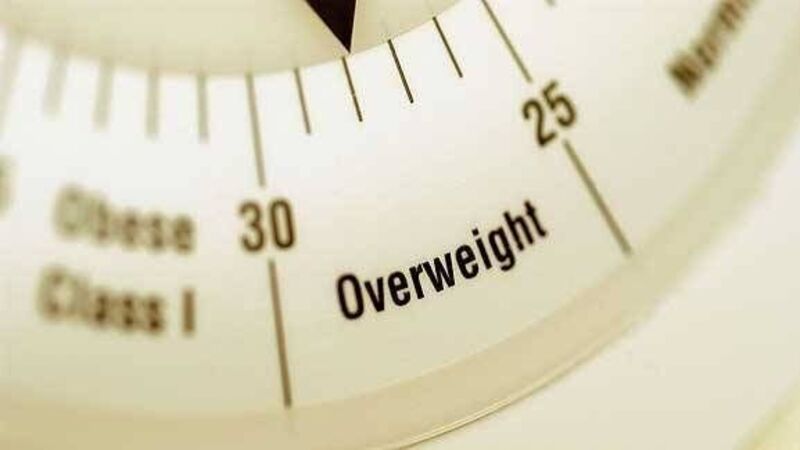 Government needs to re-double efforts to tackle obesity - Safefood Government needs to re-double efforts to tackle obesity - Safefood