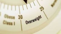 Government needs to re-double efforts to tackle obesity - Safefood