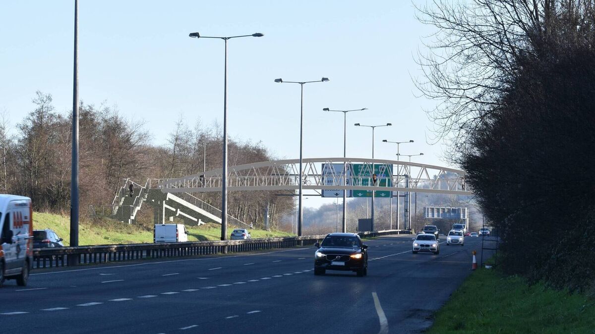 Work begins on new pedestrian and cycle link to Cork park 