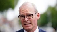 Partnership not provocation needed for Brexit protocol negotiations, warns Coveney
