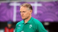 Joe Schmidt joins New Zealand after Covid fells coaches before Ireland tour