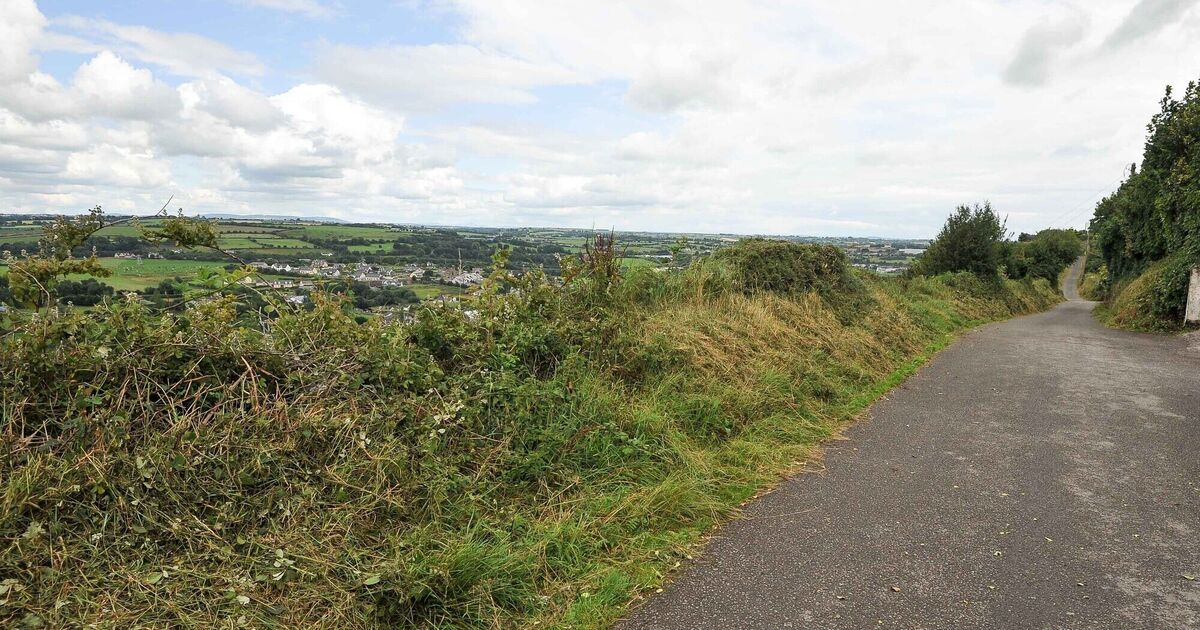 City development plan: Councillors vote to rezone lands at site proposed for park - Vimarsana News