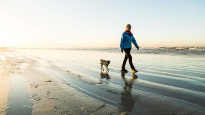Irish people exercising less and more stressed, research finds Irish people exercising less and more stressed, research finds