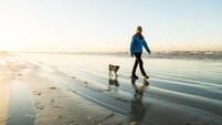 Irish people exercising less and more stressed, research finds