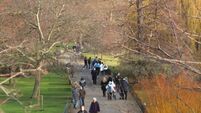 Safety concerns given as reason by women for not walking more, survey finds