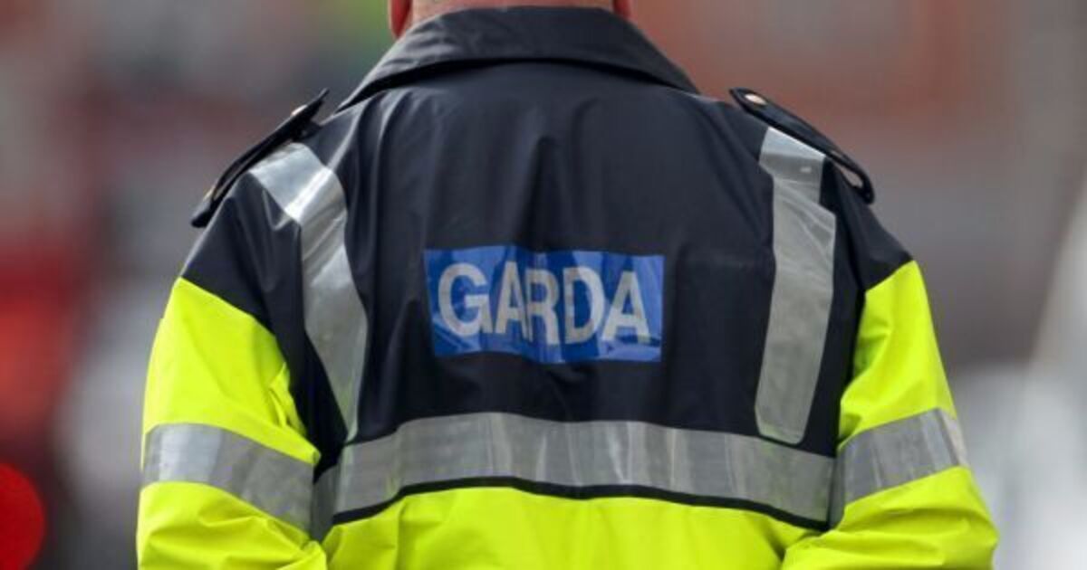 Dublin man who drove over garda's leg is jailed for dangerous driving - Vimarsana News