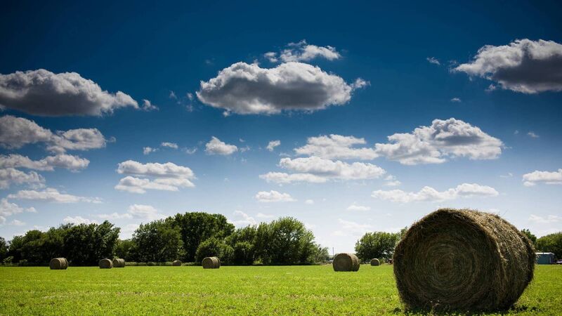 Memories flood back of my 48 years farming as we save the hay