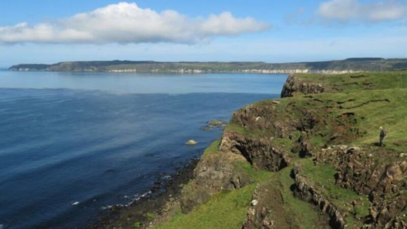 Bird flu detected on Rathlin Island