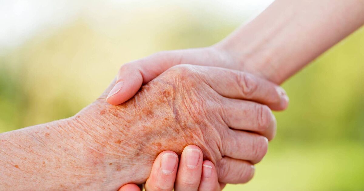 More than 500 new jobs announced as Taoiseach opens new Cork care home - Vimarsana News