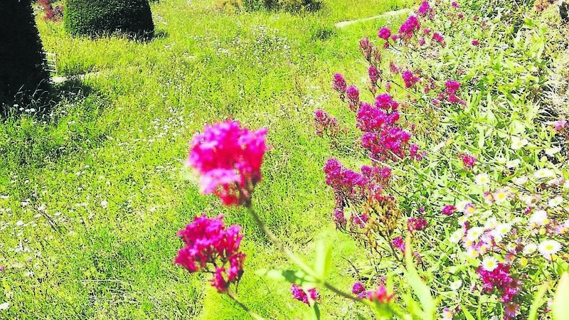 At this time of year don't forget to stop and smell the roses