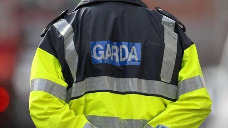 Brothers who tried to 'butcher' garda 'like an animal' are jailed