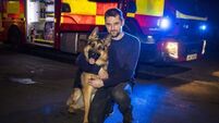 Relief after missing dog rescued from waterfall