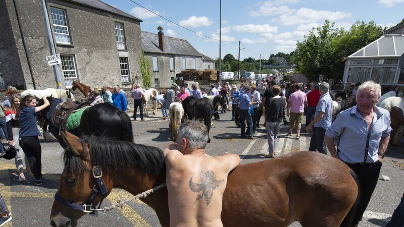Horse fair returns to Buttevant after two-year hiatus