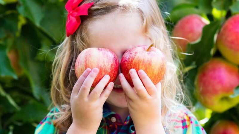 Blessed be the growers! I’m a GIY fan, one apple at a time... Blessed be the growers! I’m a GIY fan, one apple at a time...