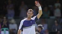 Andy Murray fights back to beat Max Purcell but limps off court with injury