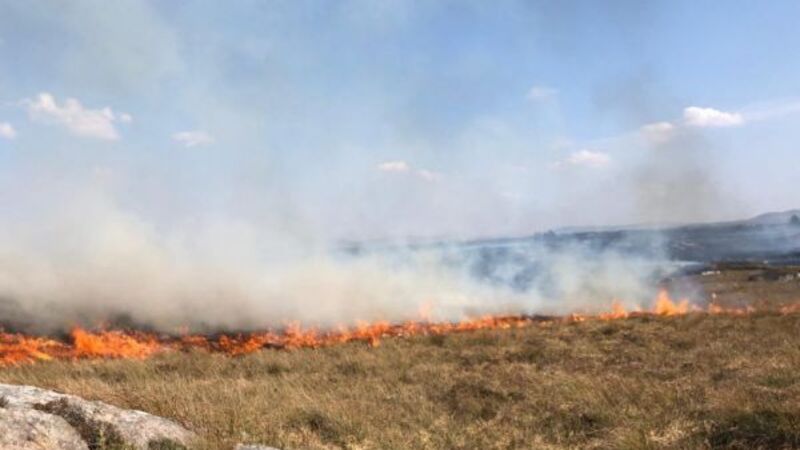 Heat stress, forest fires, melting roads and power cuts forecast alongside heatwave Heat stress, forest fires, melting roads and power cuts forecast alongside heatwave