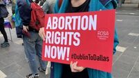 Almost half of voters happy with abortion access in Ireland, poll finds
