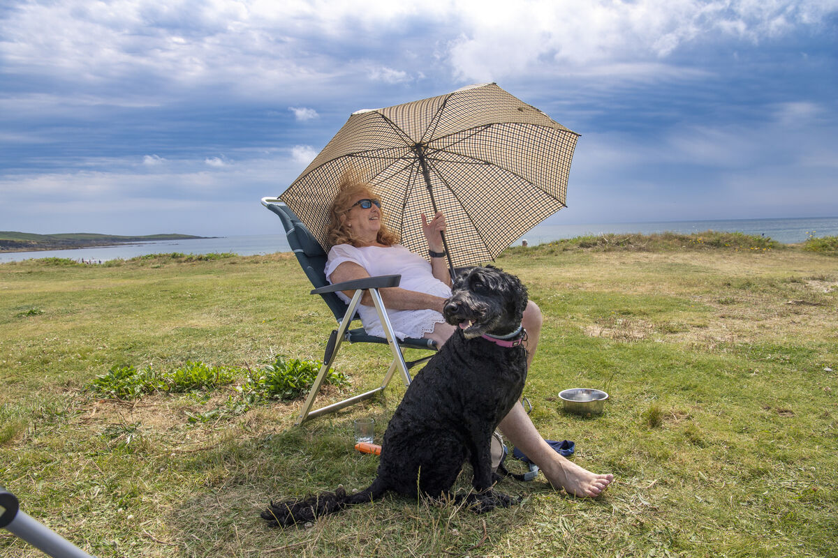  Noelle jeffries and her dog Mildred shelter from the sun at Garrettstown, Cork. Picture Dan Linehan
