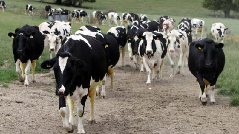 Eamon Ryan hopes to see targets to cut emissions published this month