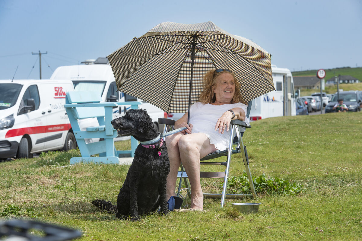 Noelle Jeffries and her dog Mildred shelter from the sun at Garrettstown, Cork. Picture Dan Linehan Noelle Jeffries and her dog Mildred shelter from the sun at Garrettstown, Cork. Picture Dan Linehan