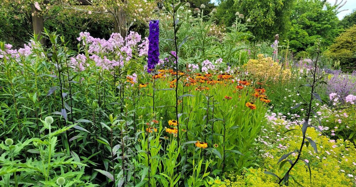The heat is on - so how does your garden glow? - Vimarsana News