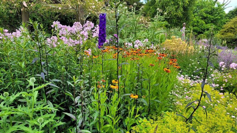 The heat is on - so how does your garden glow?