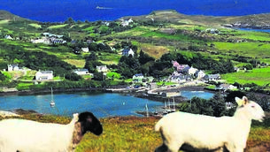 <p class="contextmenu internal_Caption">NATURAL BEAUTY: Bere Island has so much to offer visitors, says Kathriona Devereux</p>