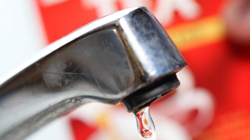 Heatwave leaves four Cork areas at risk of drought Heatwave leaves four Cork areas at risk of drought